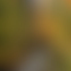 Gathering Our Precious Attention Inward