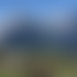 Shushing your thinking mind...