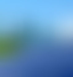 The True Value of Solar