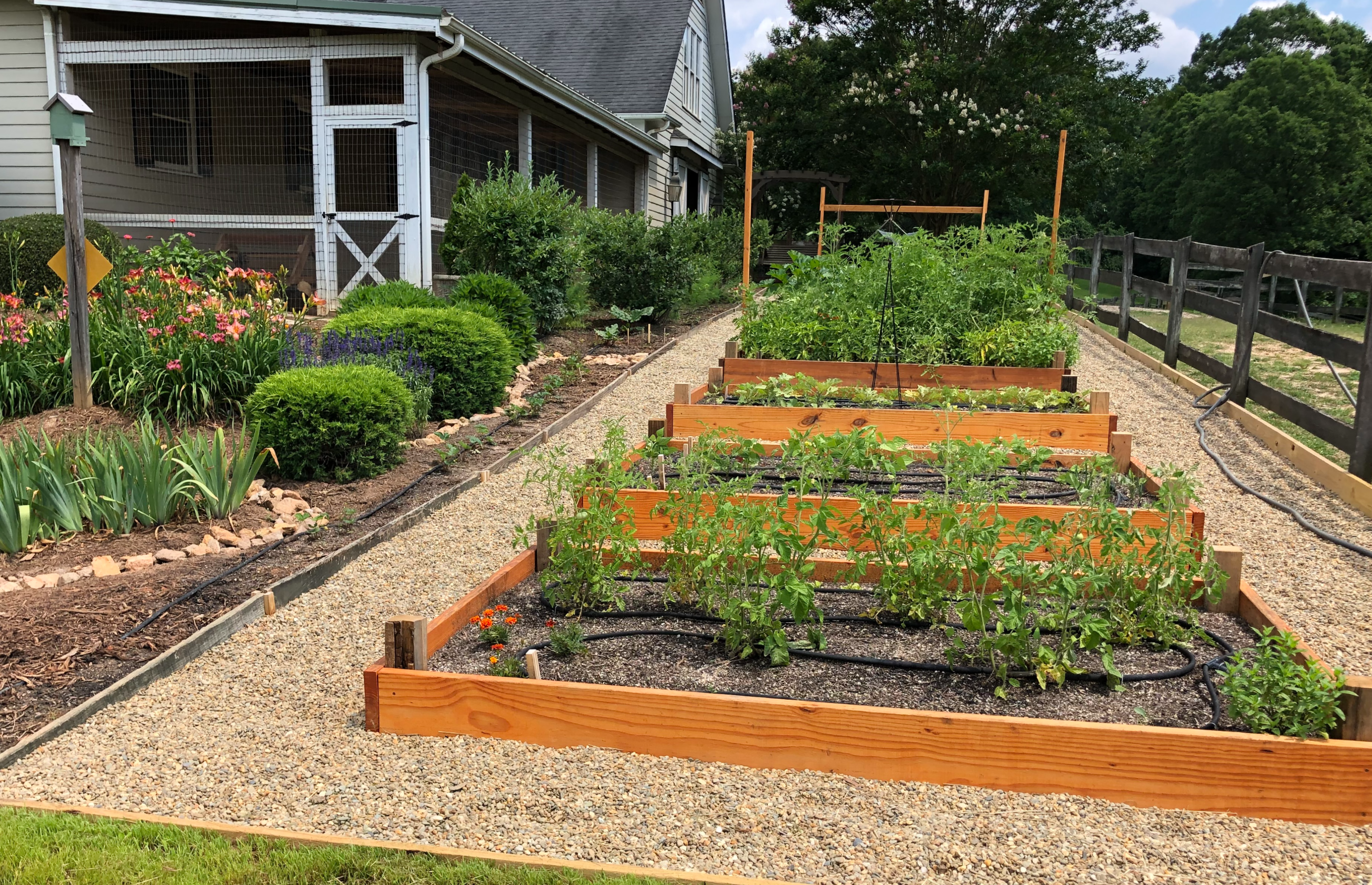 Vegetable garden