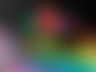 A Strut and A Stroll down the Catwalk: A Sit Down with Beep Beep