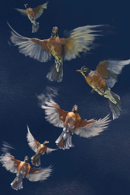 Robin ascendant, digital painting