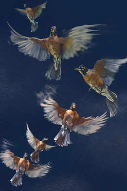 Robin ascendant, digital painting