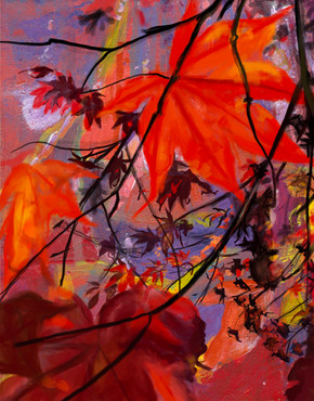 Red Maple, Dusk