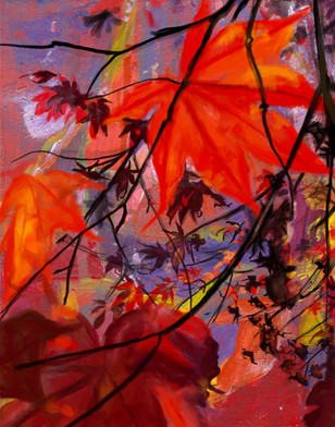 Red Maple, Dusk
