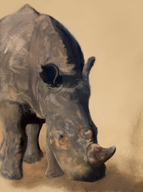 Rhino