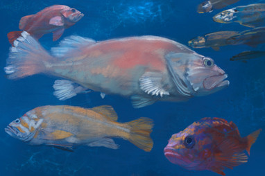Aquarium