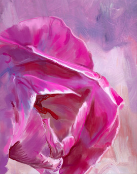 Fuchia Tulip, Subtle
