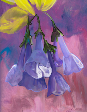 Bluebells