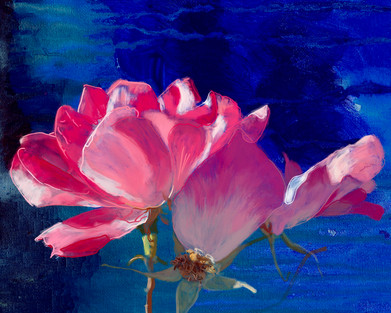 Rose Rose