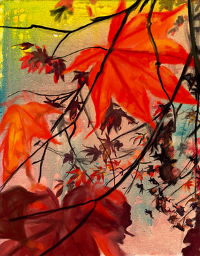 Red Maple, Dawn