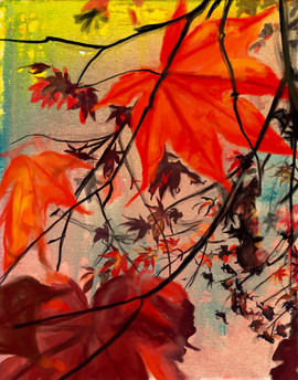 Red Maple, Dawn
