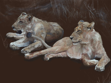 Lionesses