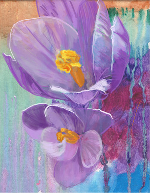 Violet Crocus
