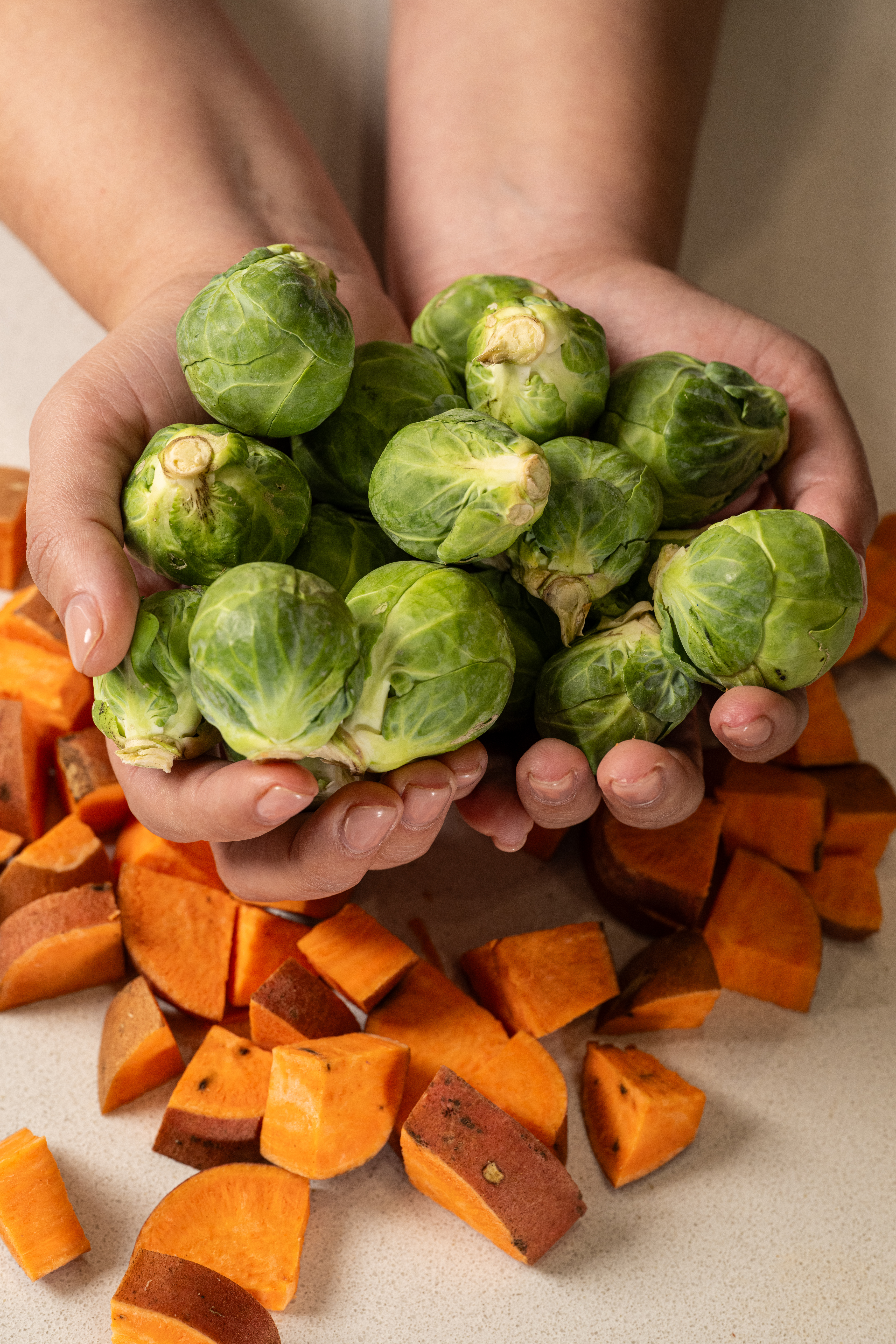 Arranged Food and Objects