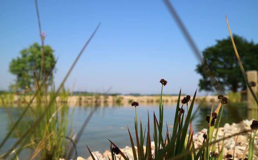 IMG_1124.jpeg