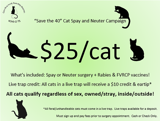 Cat Shelter Knox County Humane Society Mount Vernon Oh