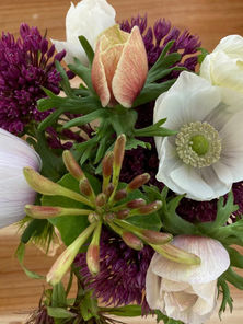 Zinnia, cosmos, cornflowers and other treasures in an apothecary jar for £8. YOu can also buy a handsewn jolly jar bag for an extra special gift.