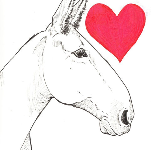 Love Mules