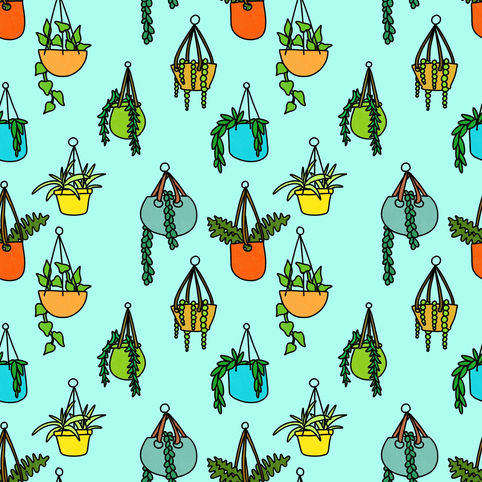 Houseplants