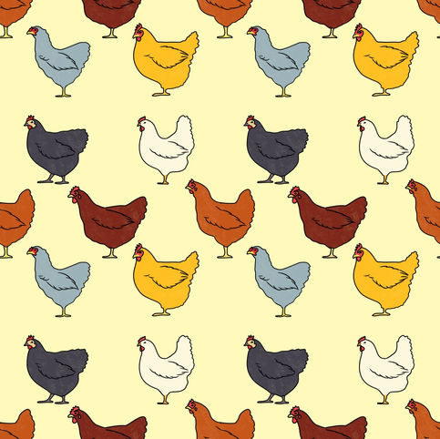 Chickens