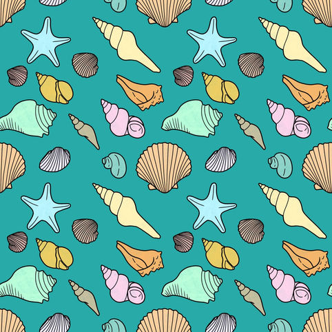 Seashells