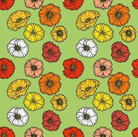Poppies