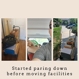 Progress LLC Professional Organizer 209.png