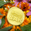 Thumbnail: Balm Bar