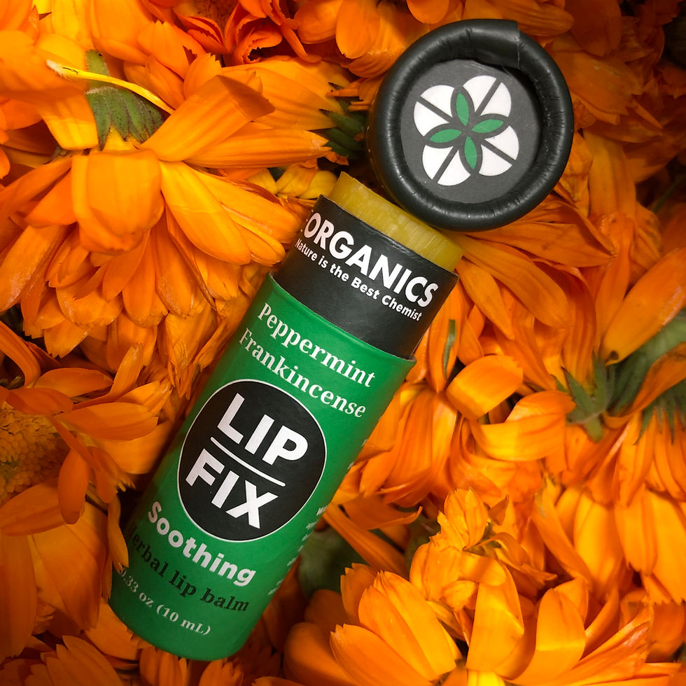 Thumbnail: LipFix Herbal Lip balm