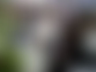 Ar bus sidro, vyno ir midaus po prasto 2025 metų derliaus