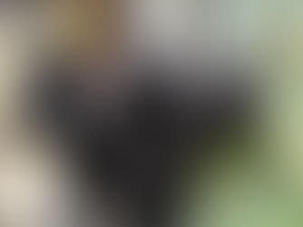 新企画 SONA - 犬日是好日- について