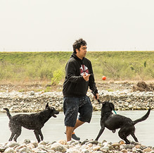 ドッグトレーナー 動物取扱責任者