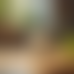 Essential Supplements to Support Optimal Liver Health