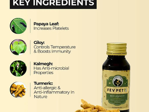 Fever Prevention in Pets: Minimize the Risk of Fever with 10 Easy Steps