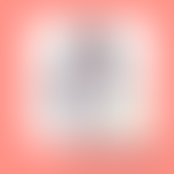 Meet @catcallsofskopje