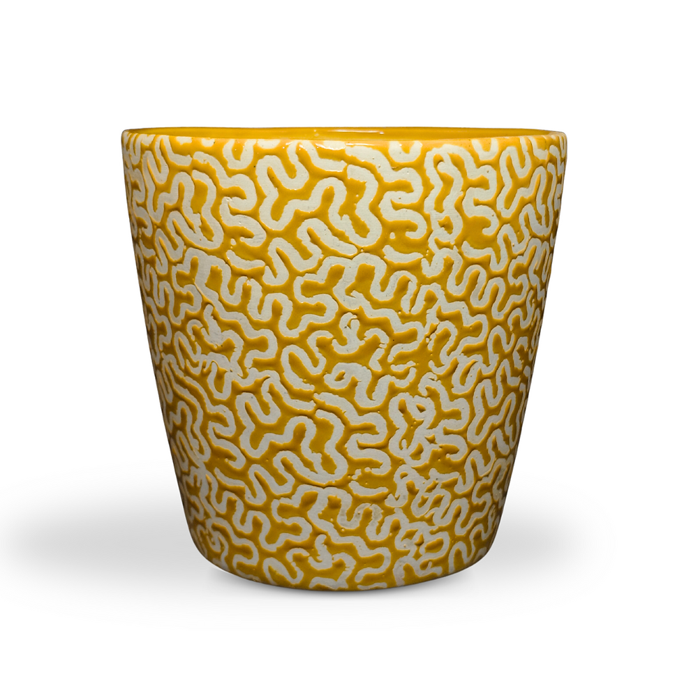 Untitled design (58).png