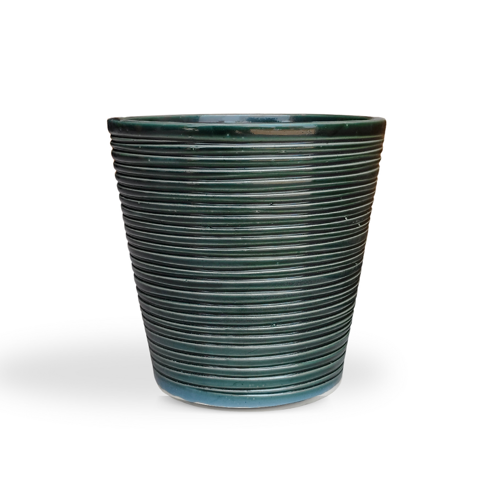 Untitled design (59).png