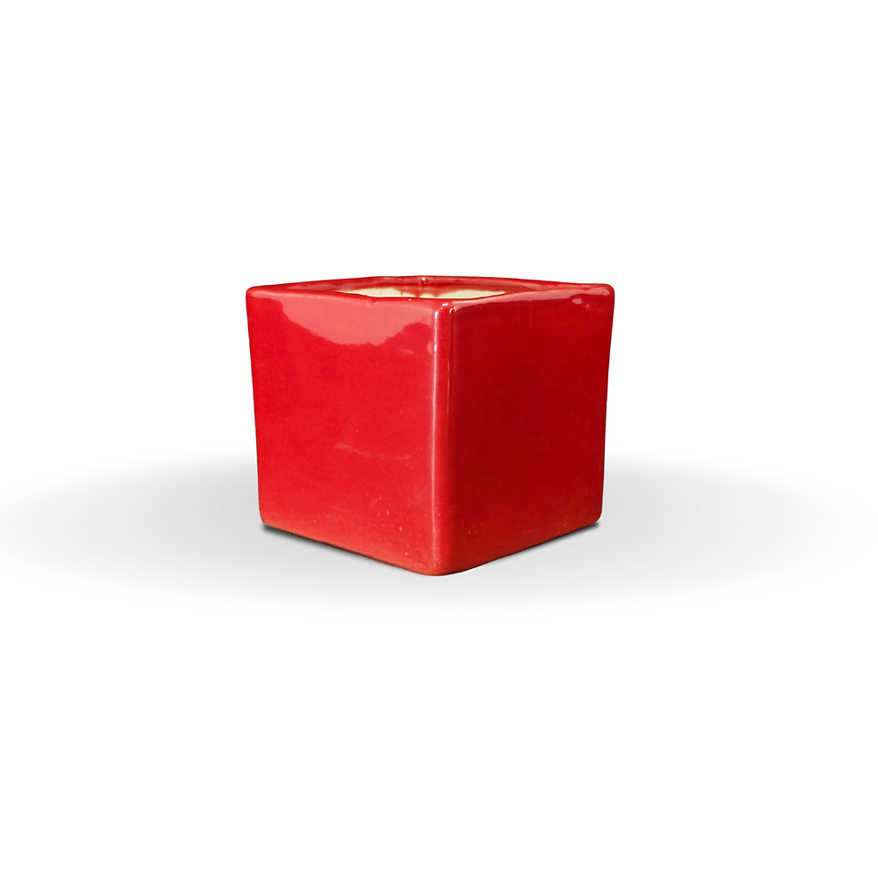 Untitled design - 2024-04-14T110116.978.png