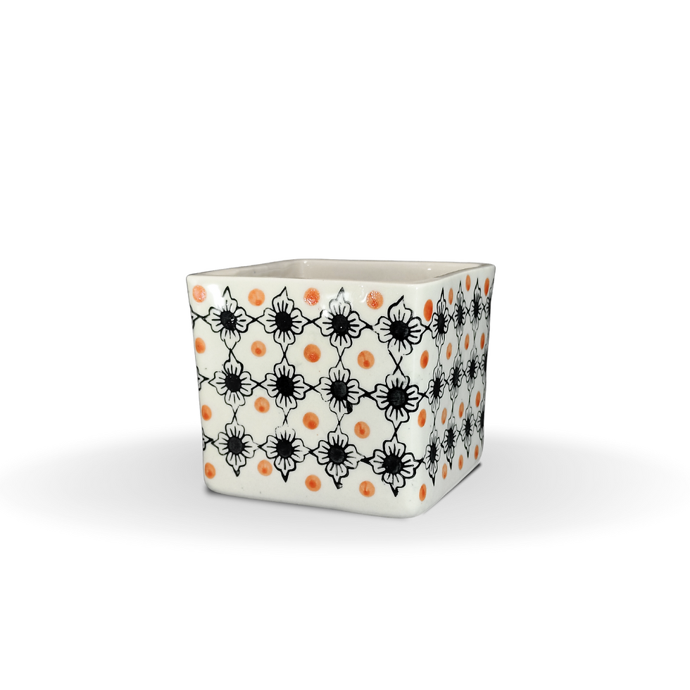Untitled design - 2024-04-14T000901.495.png
