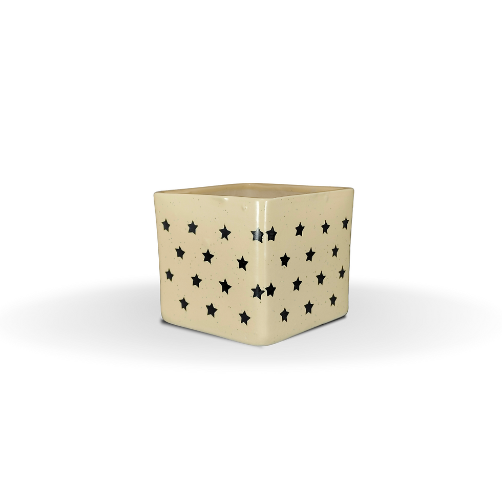 Untitled design - 2024-04-14T103749.980.png