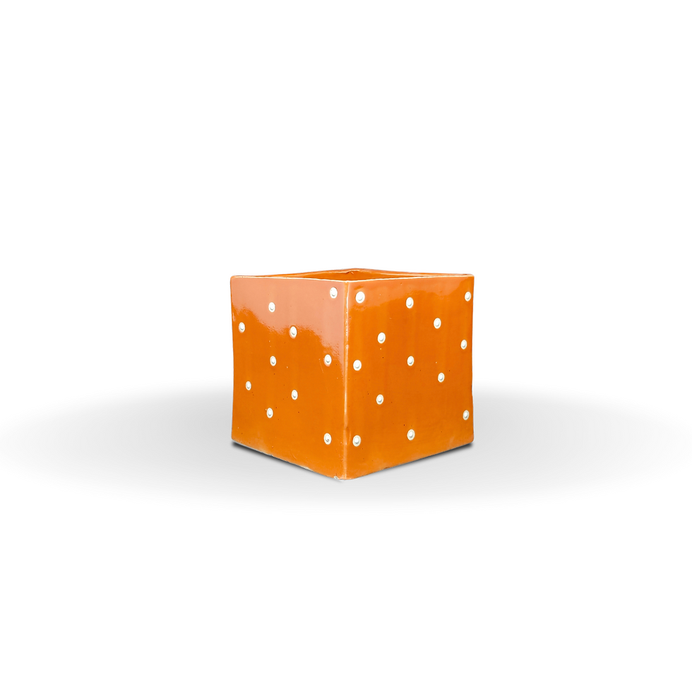 Untitled design - 2024-04-14T104454.096.png