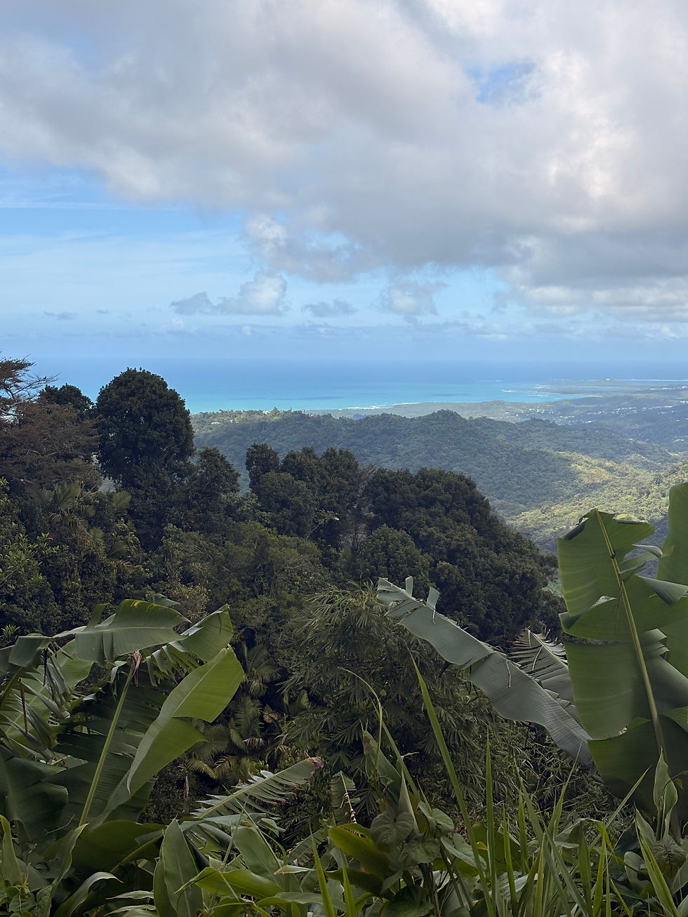 El Yunque National Forest