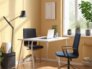 Can a Professional Organized as One Person Corporation in the Philippines?