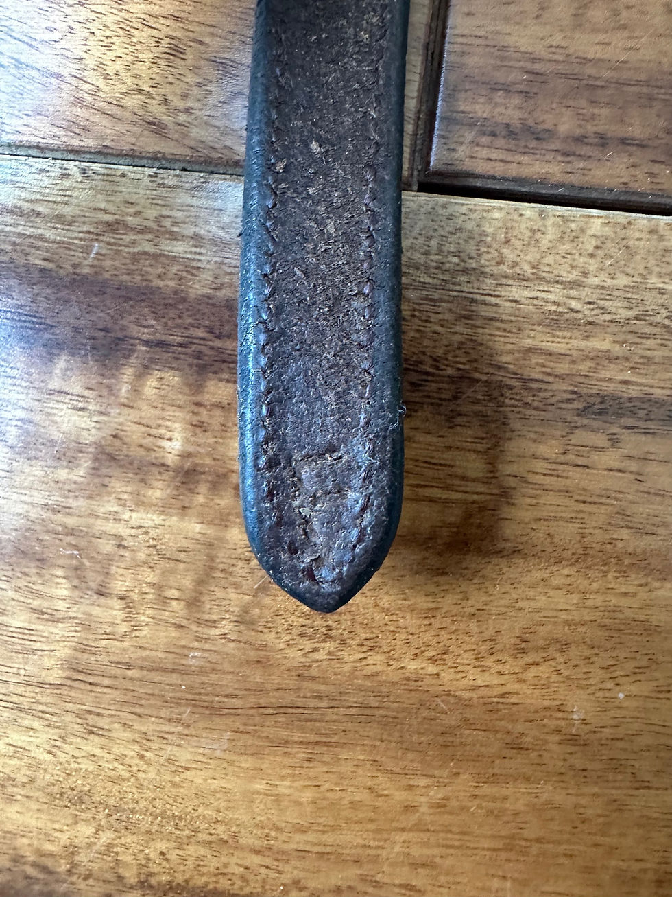 Thumbnail: Dy’on Standing Martingale