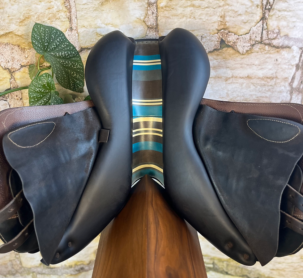 Thumbnail: 2022 Voltaire Palm Beach 16.5" 1A, Full Buffalo, Second Skin #301522