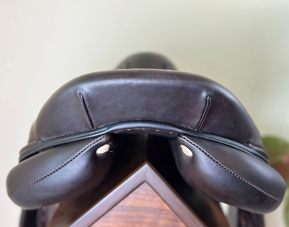 Thumbnail: 2023 Antares Connexion 17.5" 3AB, Full Buffalo