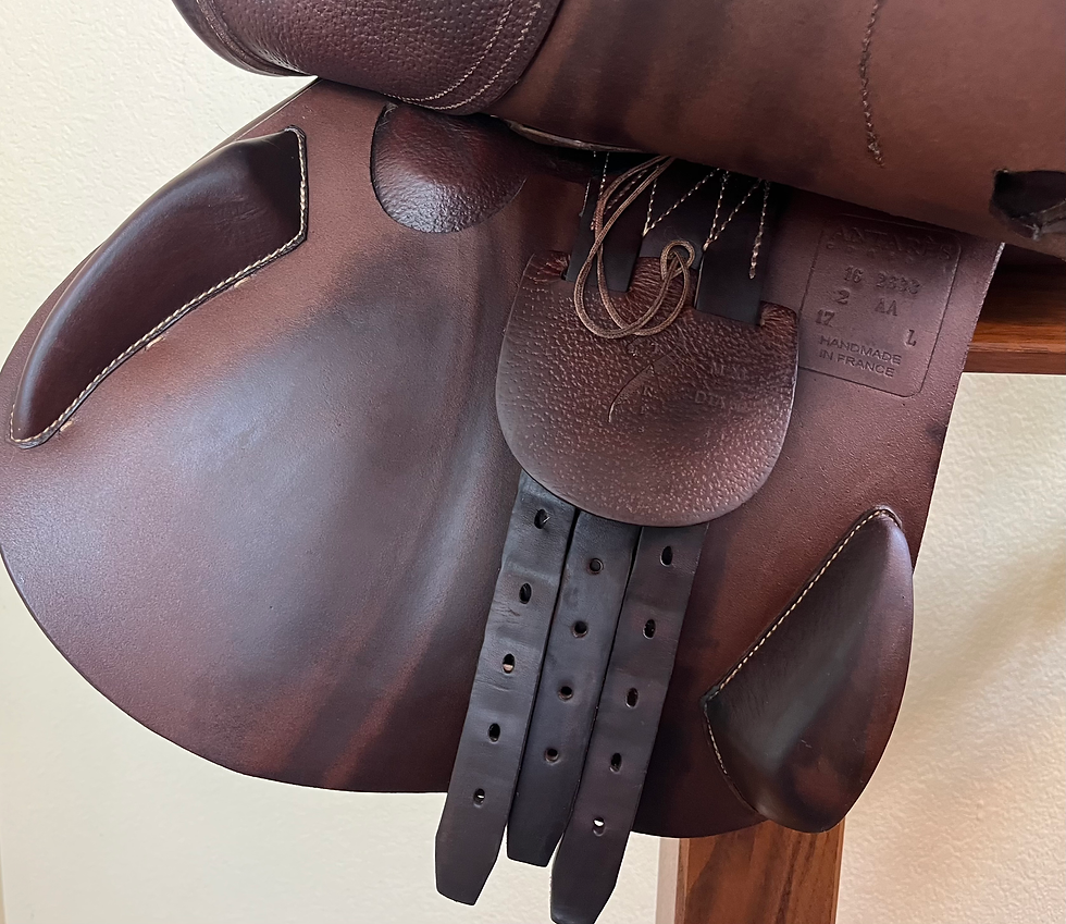 Thumbnail: 2016 Antarès Comfort 17" 2AA, L, #162633