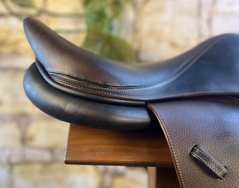 Thumbnail: 2015 Voltaire Stuttgart 17.5 2AA, PRO Panels, #309015