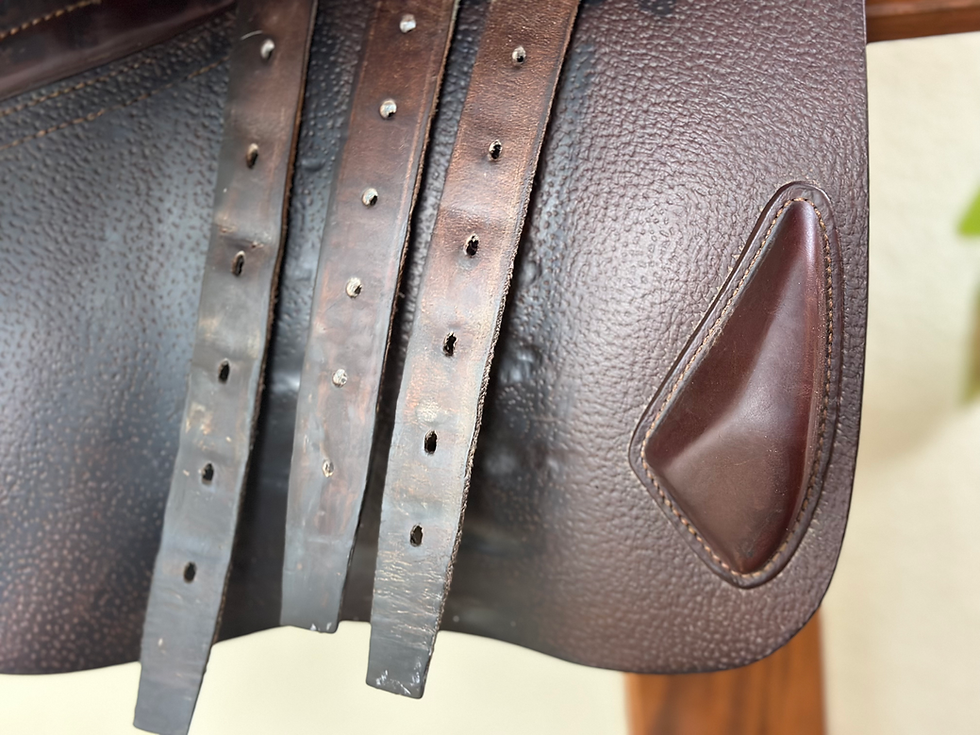Thumbnail: 2017 CWD SE25 2Gs, 18" 3C, Full Buffalo, RT Panels #1754782